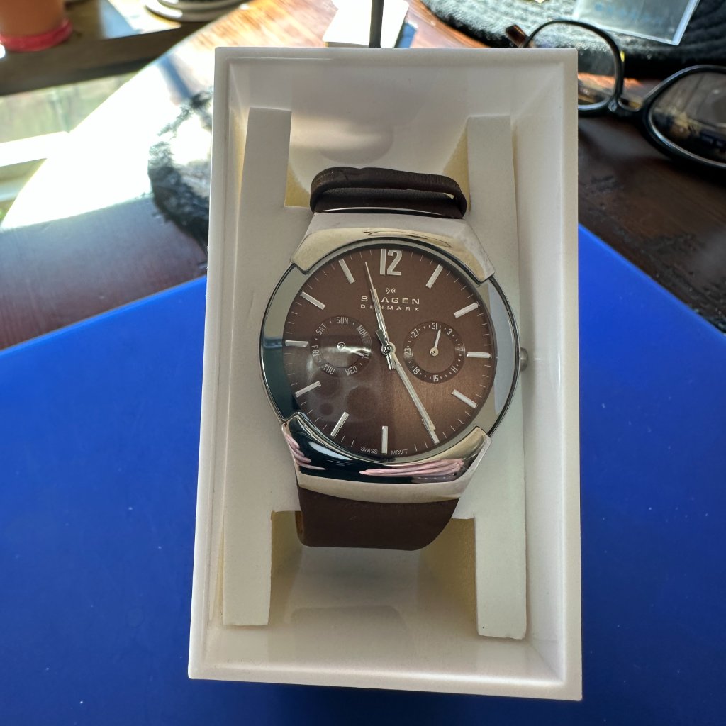 Skagen Holst Men's Watch With Leather Band